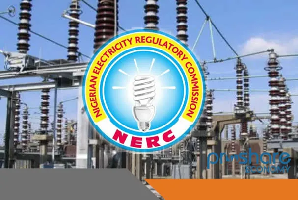 The Nigerian Electricity Regulatory Commission (NERC)