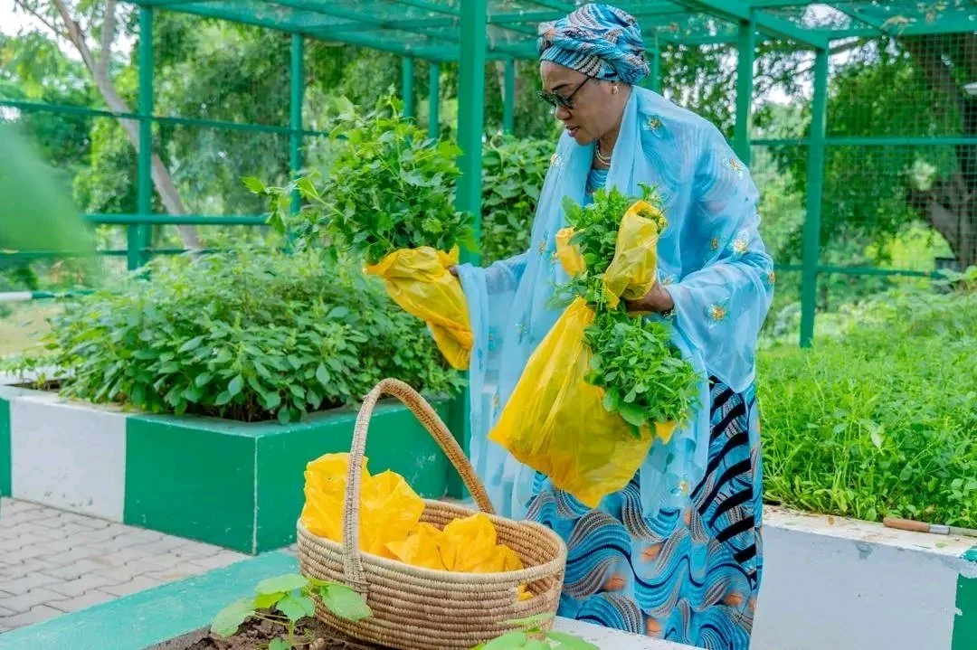 First lady Oluremi Tinubu while harvesting vegetables from the villa's garden...Photo Credit: X / Dr Smiles